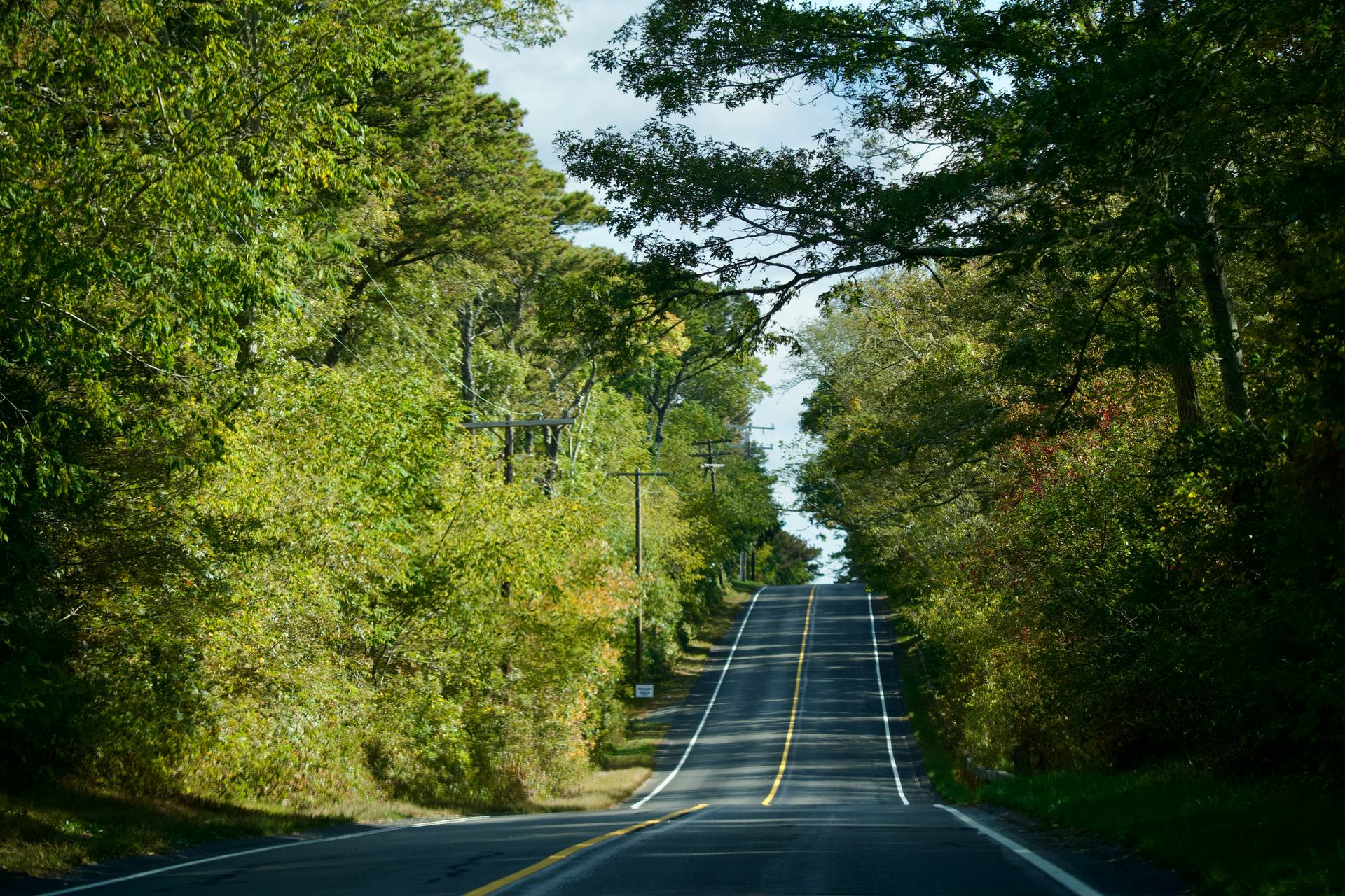 A photograph by Howard Wang
